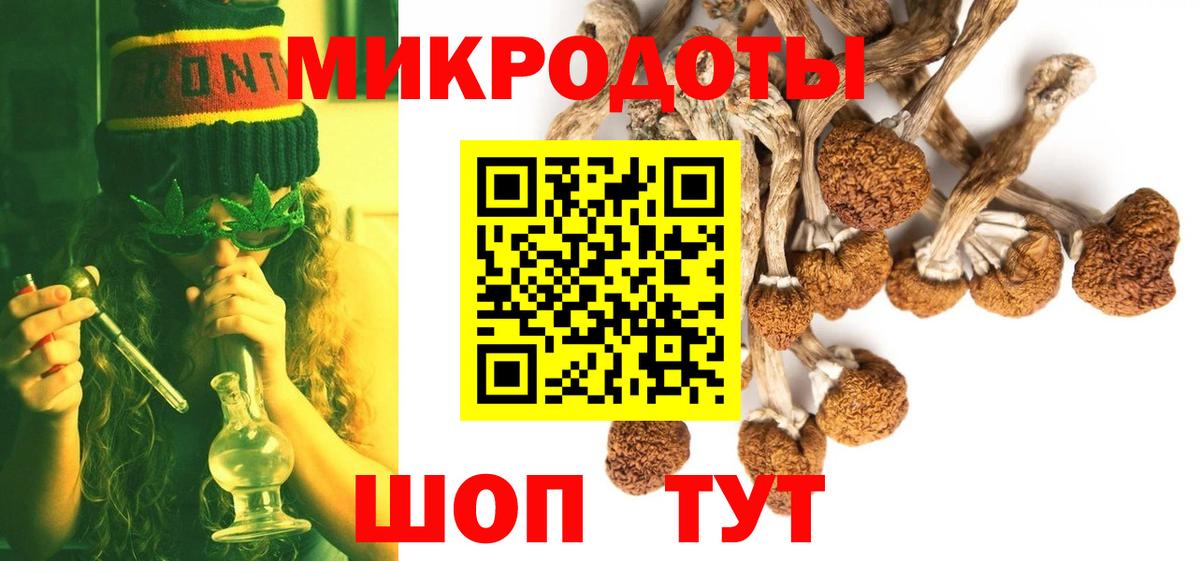 Галлюциногенные грибы Psilocybine cubensis Камень-на-Оби
