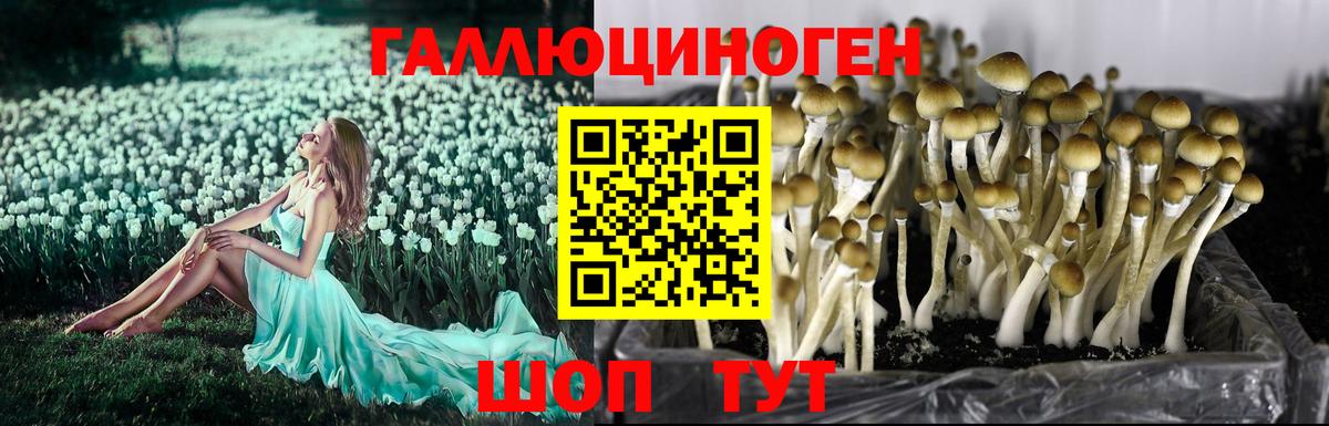 MDMA  Марихуана  НБОМе  Камень-на-Оби  Гашиш  Меф МЯУ МЯУ кристаллы  Вход с VPN  Кокаин 